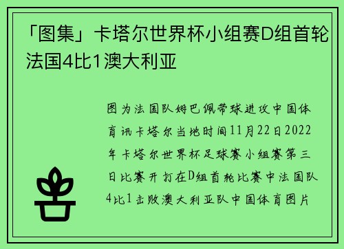 「图集」卡塔尔世界杯小组赛D组首轮 法国4比1澳大利亚